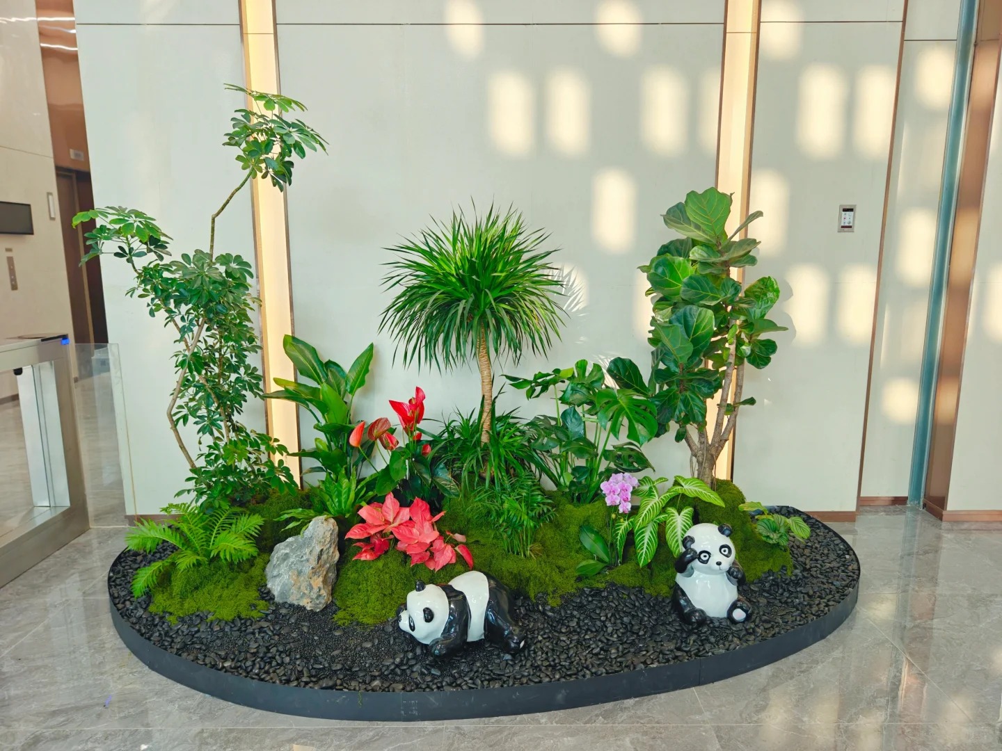 专业奉化花卉租赁，让空间瞬间绽放多彩魅力